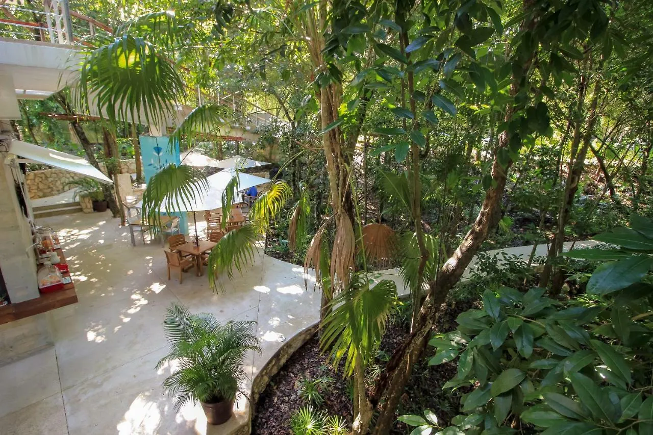 Penthouses With Private Rooftop & Hot Tub In Resort Grounds Akumal 0*,