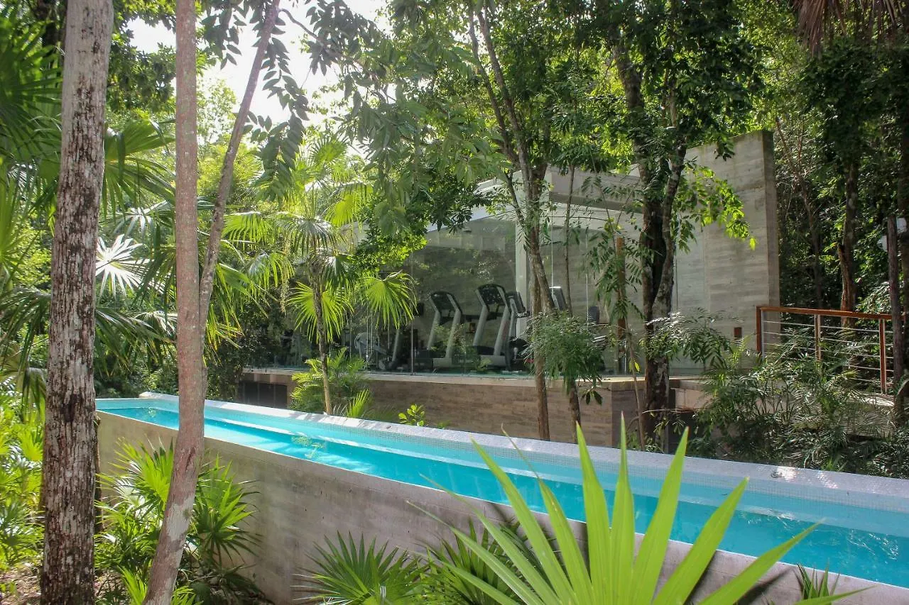 Penthouses With Private Rooftop & Hot Tub In Resort Grounds Akumal Apartament